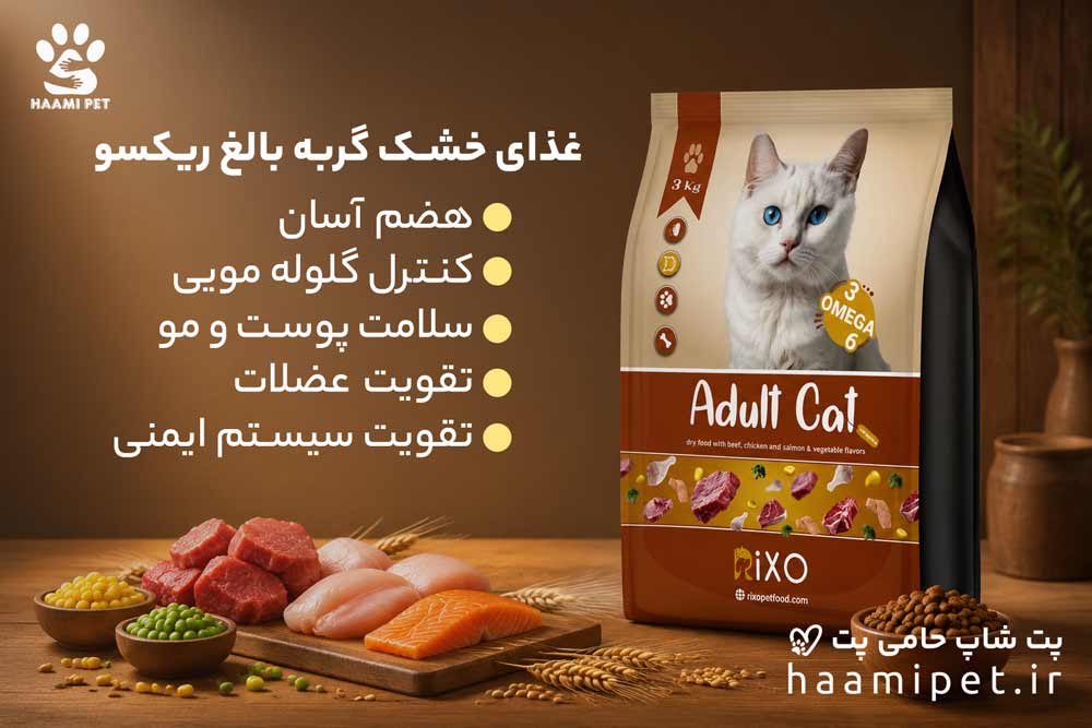 خرید غذای خشک گربه بالغ ریکسو (فله – کیلویی) از پت شاپ حامی پت