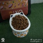 غذای خشک گربه بالغ ریکسو - فله - کیلویی - پت شاپ حامی پت