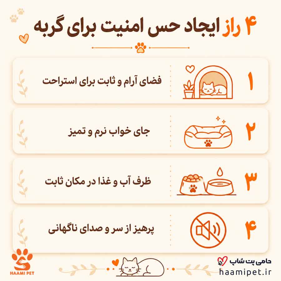 4 راز ایجاد حس امنیت برای گربه - پت شاپ حامی پت