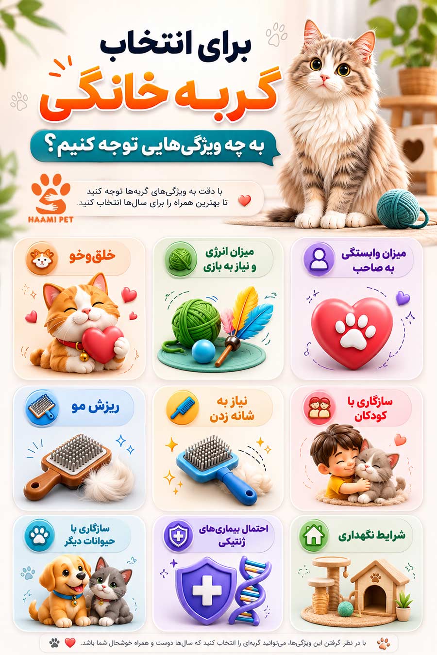 برای انتخاب گربه خانگی باید به چه ویژگیهایی توجه کنیم؟ - پت شاپ حامی پت