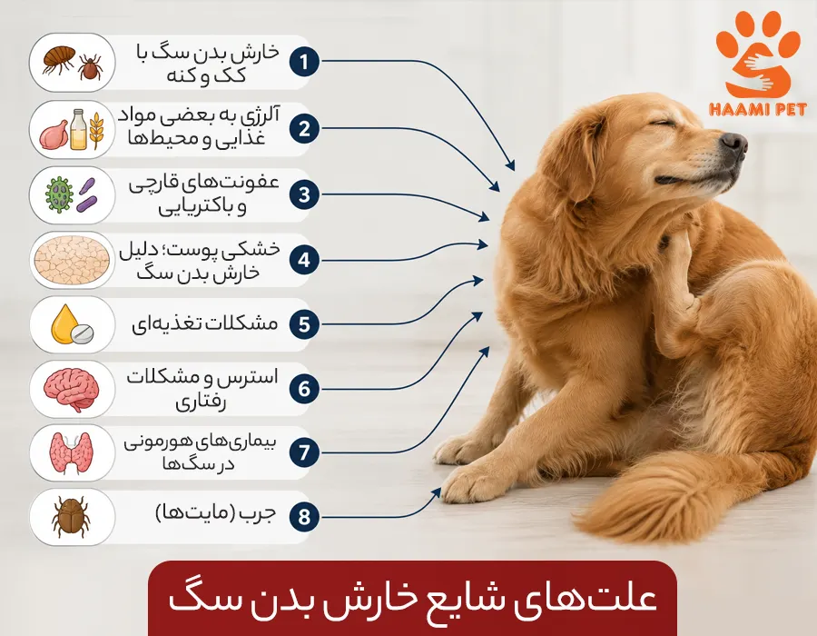 علت‌ های شایع خارش بدن سگ - پت شاپ حامی پت