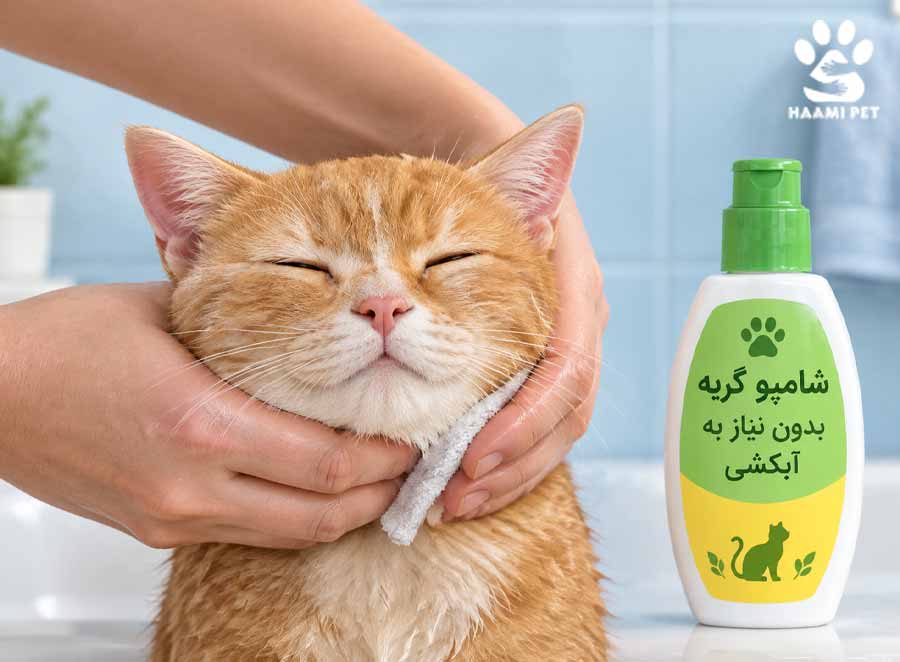 جایگزین‌هایی برای حمام کردن گربه - مرحله ۲: از شامپوی خشک مخصوص گربه استفاده کنید