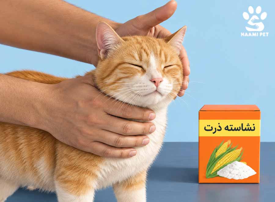 جایگزین‌هایی برای حمام کردن گربه - مرحله ۳: از نشاسته ذرت برای تمیز کردن گربه استفاده کنید